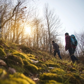 image_wandelen